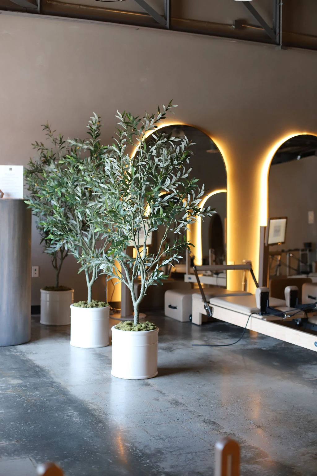 Potted trees and glowing mirrors inside the Rituél studio